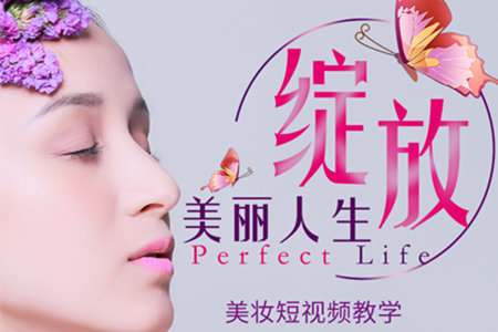 微美学应用介绍图片3